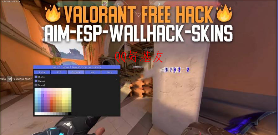 Valorant MultiHack 免费版：透视自瞄穿墙皮肤等