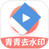 青青去水印v1.2多平台批量解析，图集视频混合解析